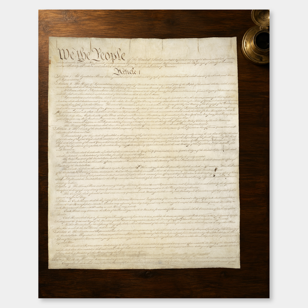 We the People oil painting, complete artwork on a light gray background